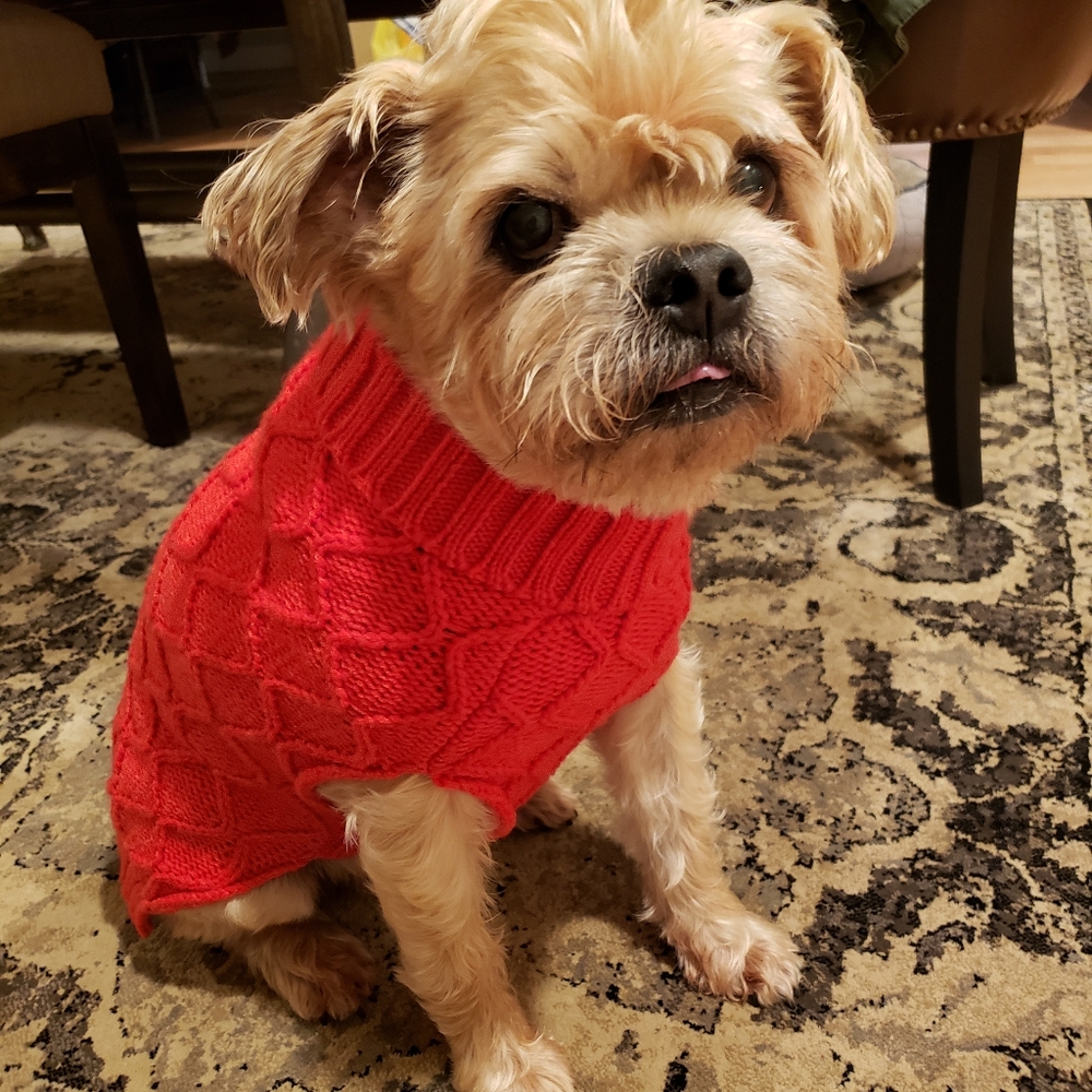 🌟 Host Pick X 2 🐕 ❤️ Red Argyle Dog Sweater L